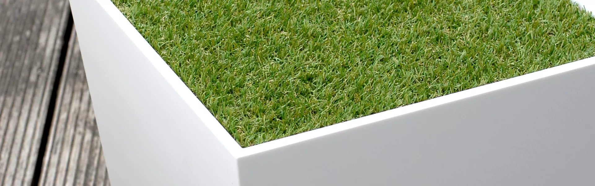 HIMACS: Grass box