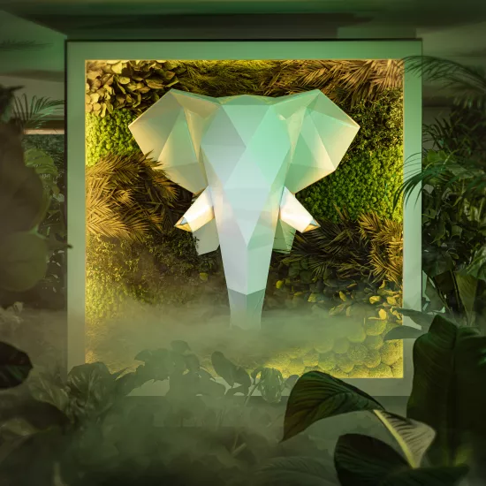 HIMACS and Aska invite you to venture into a pop-up jungle in the heart of Paris