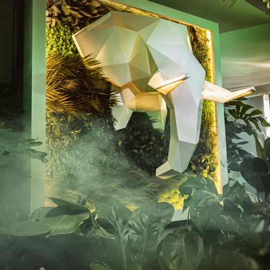 HIMACS and Aska invite you to venture into a pop-up jungle in the heart of Paris