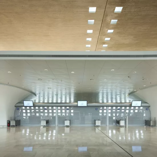 Charles de Gaulle airport in Paris