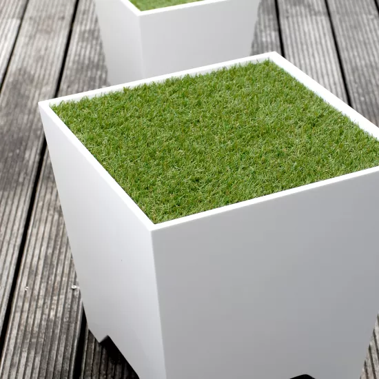 HIMACS: Grass Box