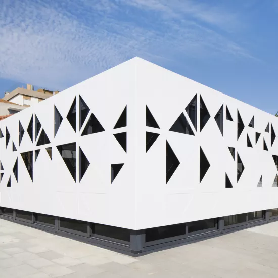 Spectacular HIMACS façade: traditional school architecture meets high-tech material 