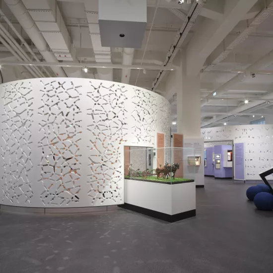 New exhibition at the Deutsches Museum uses high-tech HIMACS walls