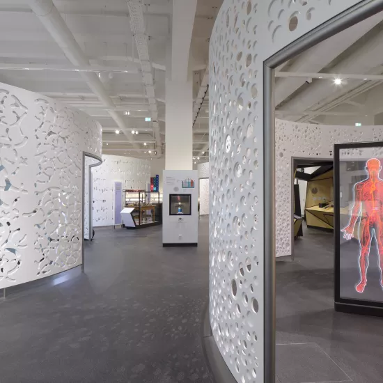 New exhibition at the Deutsches Museum uses high-tech HIMACS walls